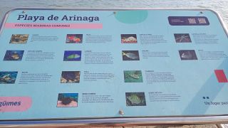 GC-Playa de Arinaga 2026-002.jpg